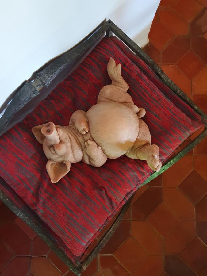 Casa Palaciega El Cuartel メディナセリ エクステリア 写真